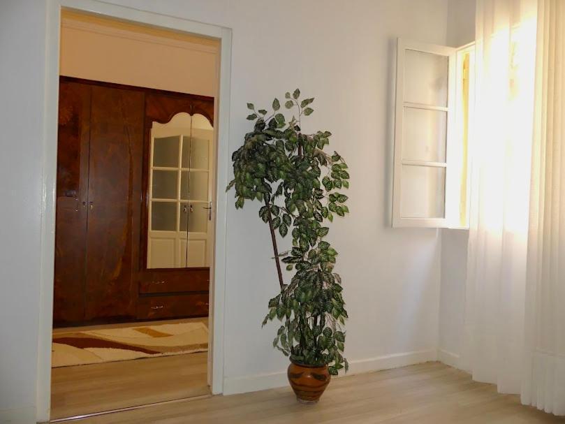 A Cozy Home Right In The Heart Of Танжер Экстерьер фото
